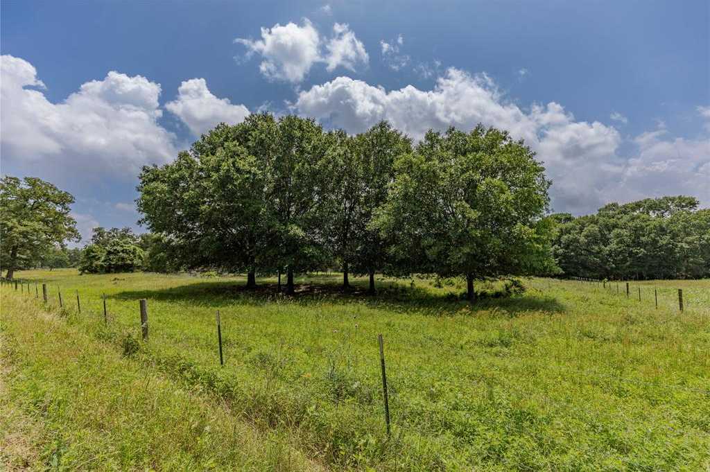 photo 2: 2 Mill Creek Ranch Road, New Ulm TX 78950