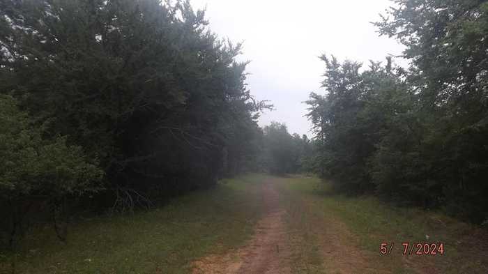 photo 2: An County Road 104, Elkhart TX 75839