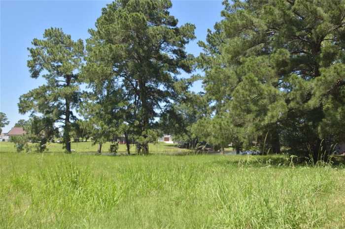 photo 50: 19 Bluebonnet, Trinity TX 75862