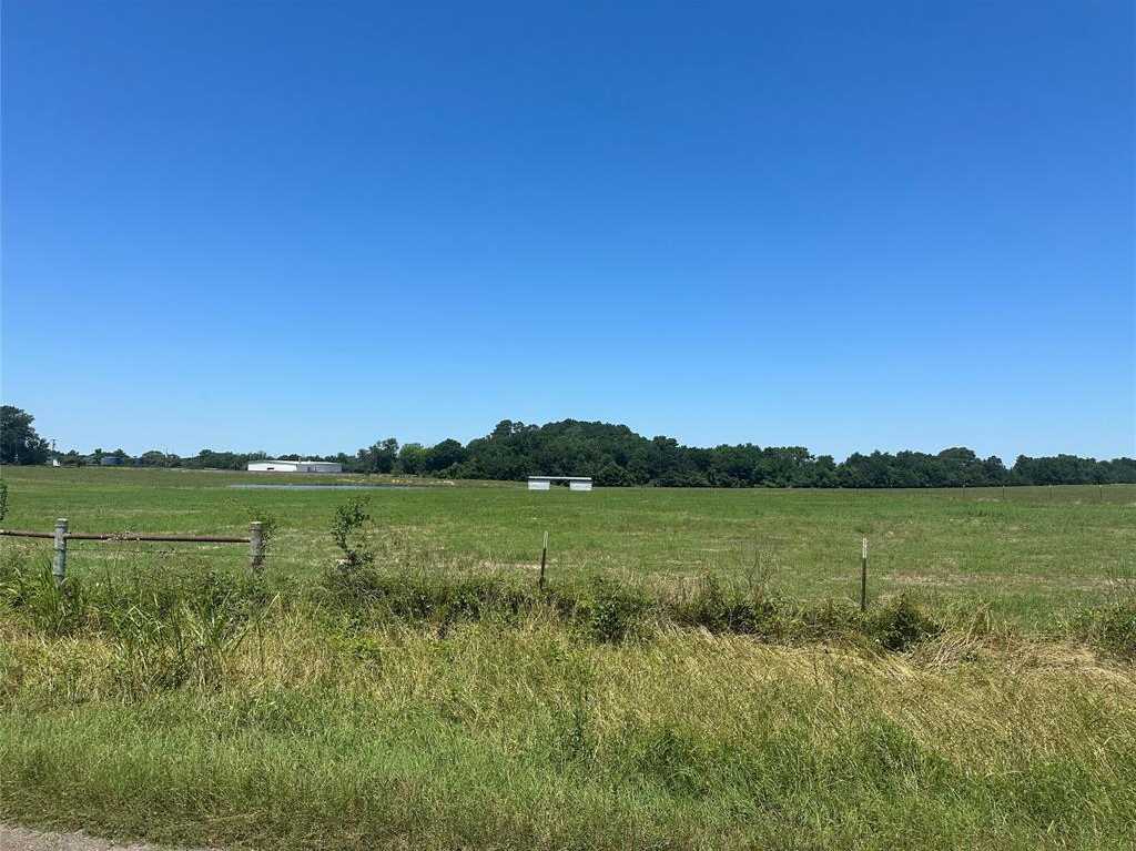 photo 3: 1 CR 328, Buffalo TX 75831