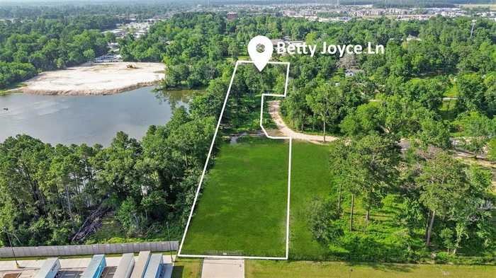 photo 1: Betty Joyce Lane, Houston TX 77338