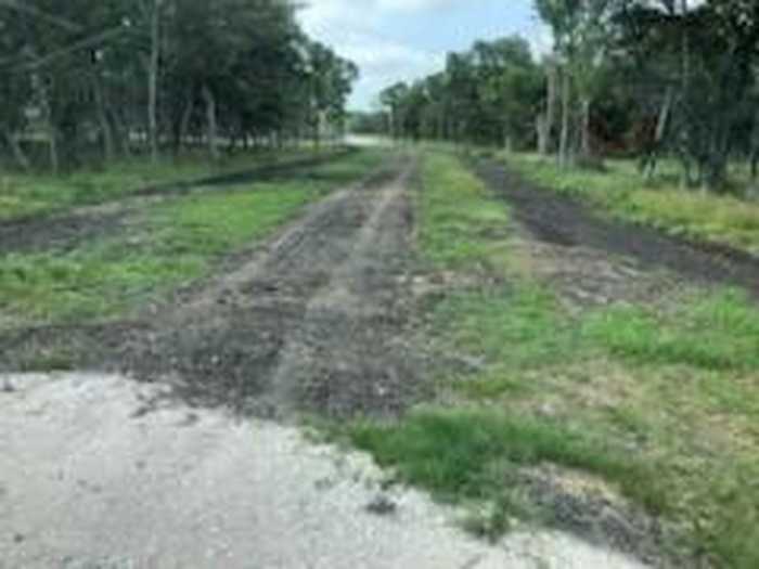 photo 10: County Road 306, Brazoria TX 77422