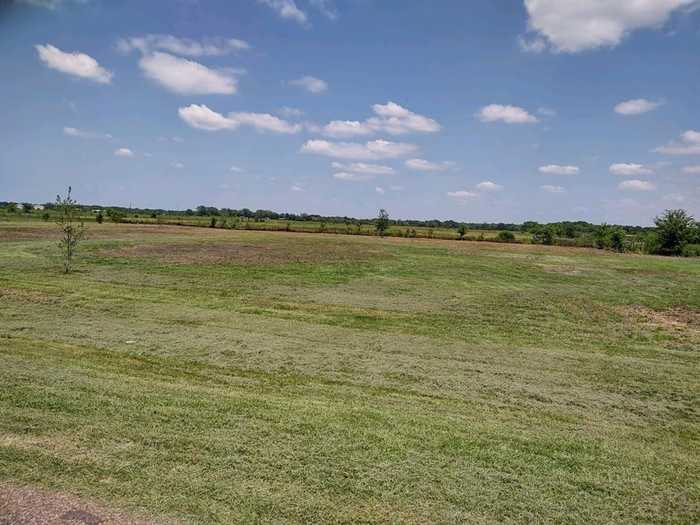 photo 10: County Road 227, Hungerford TX 77448