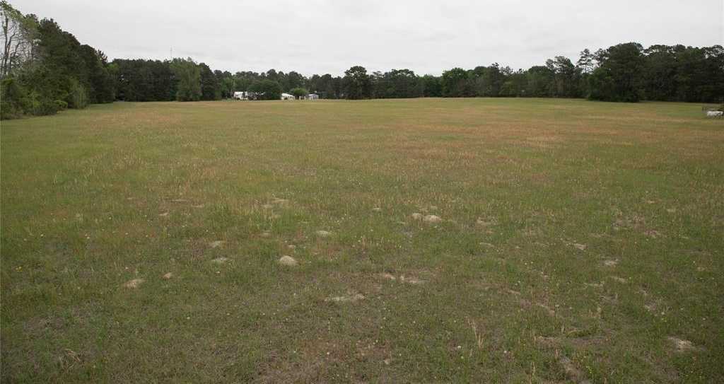 photo 3: 15000 Fm 2854 Road, Montgomery TX 77316