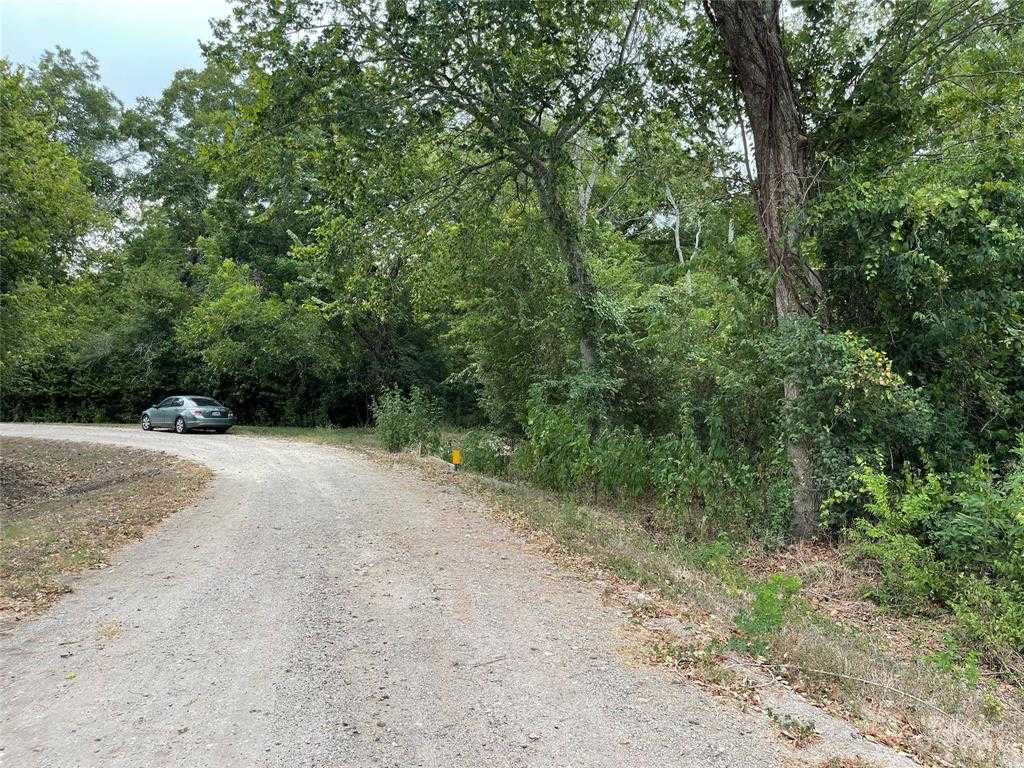 photo 3: Mangum Road, Hungerford TX 77448