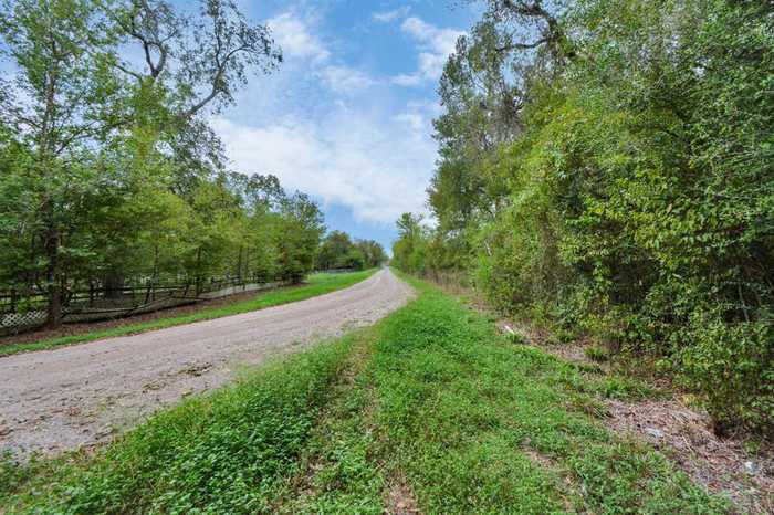 photo 41: Mangum Road, Hungerford TX 77448