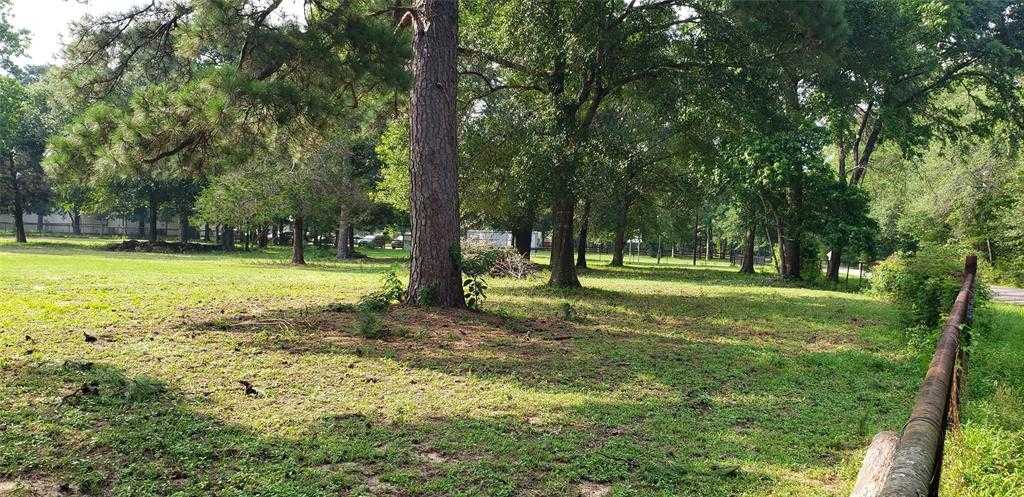 photo 3: 5620 Sapp Road, Conroe TX 77304