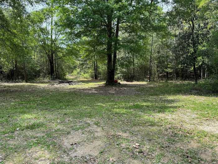 photo 1: 10586 Holland Road, Kountze TX 77625