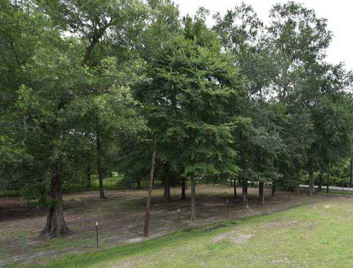 photo 2: 16618 Shady Lane, Channelview TX 77530