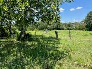 photo 3: 11501 Sandstone Road, Burton TX 77835