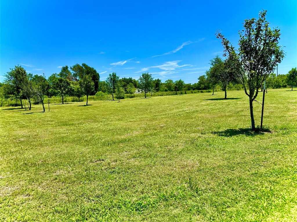 photo 3: 27711 Sharp Road, Katy TX 77493