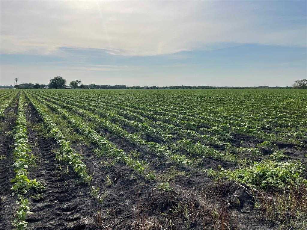 photo 2: FM 2546, El Campo TX 77437