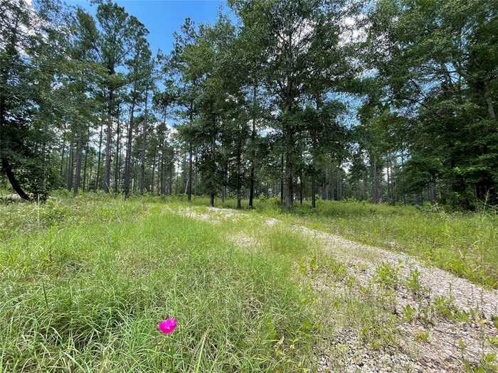 photo 1: Old US Highway 287 Road, Groveton TX 75845