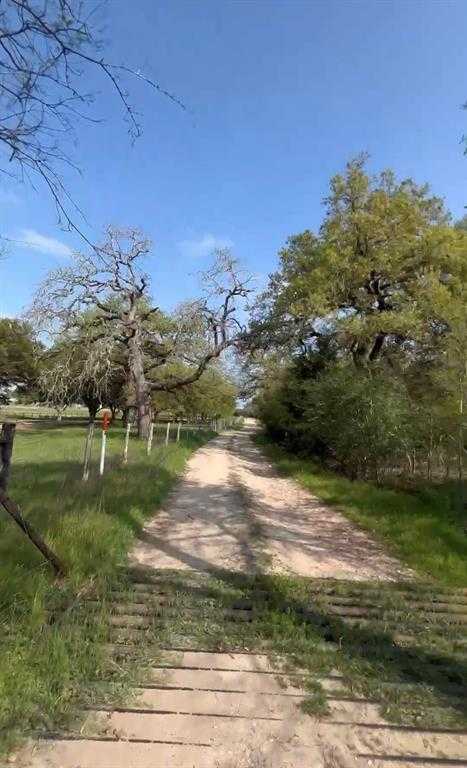 photo 3: 21300 Evans Lane, Washington TX 77880