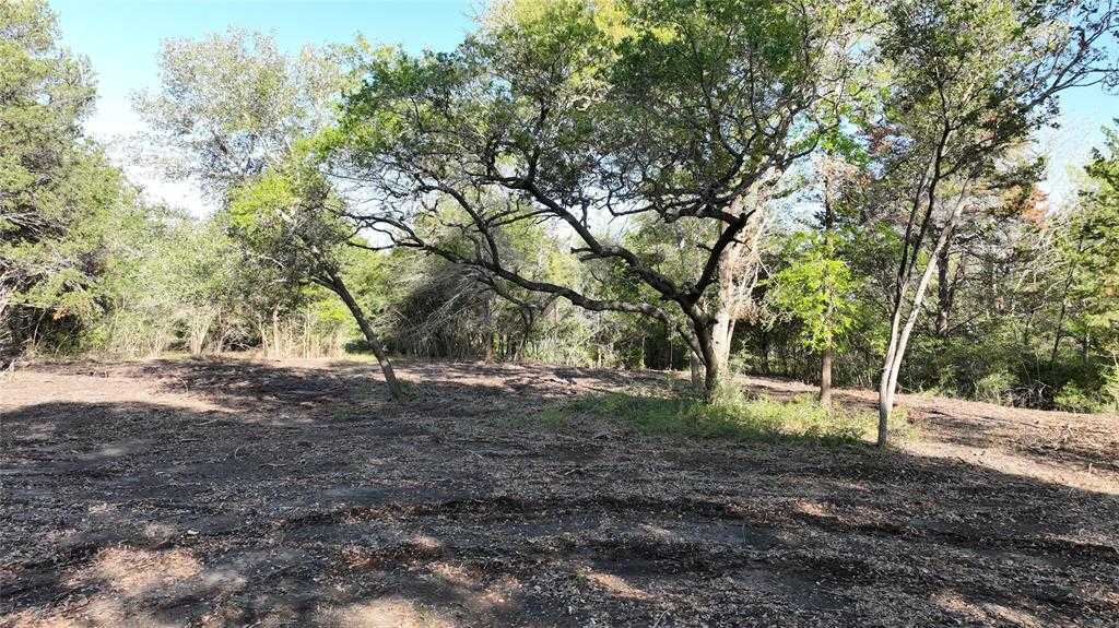 photo 2: 8141 Timber Bridge Lane, Chappell Hill TX 77426