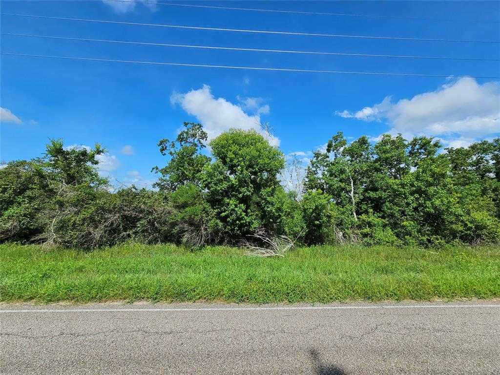 photo 3: County Road 48, Angleton TX 77515