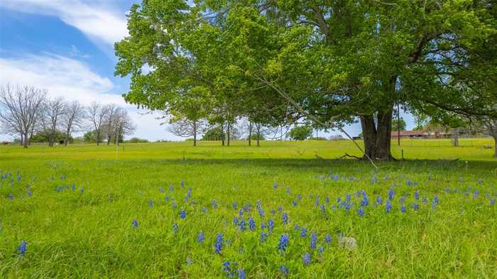 photo 1: 9201 Conner Road Road, Washington TX 77880