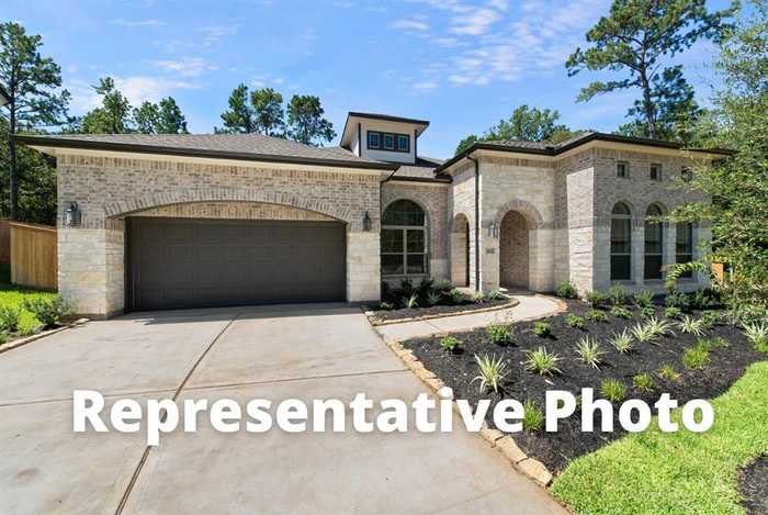 photo 1: 803 Terlingua Creek Court, Conroe TX 77304