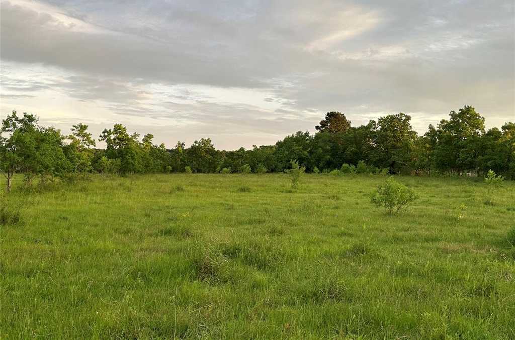 photo 2: 2821 County Road 676, Dayton TX 77535