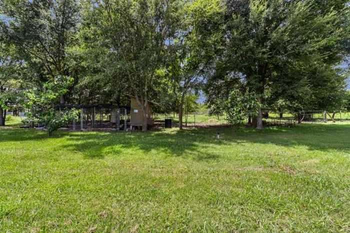 photo 2: 14657 County Road 229, Bedias TX 77831