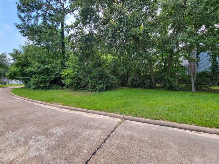 photo 2: 1602 Cypress Cove Street, Houston TX 77090