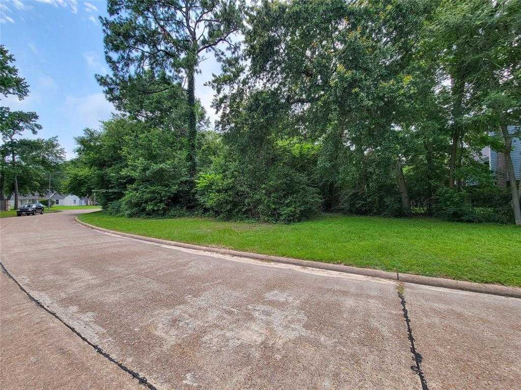 photo 3: 1602 Cypress Cove Street, Houston TX 77090