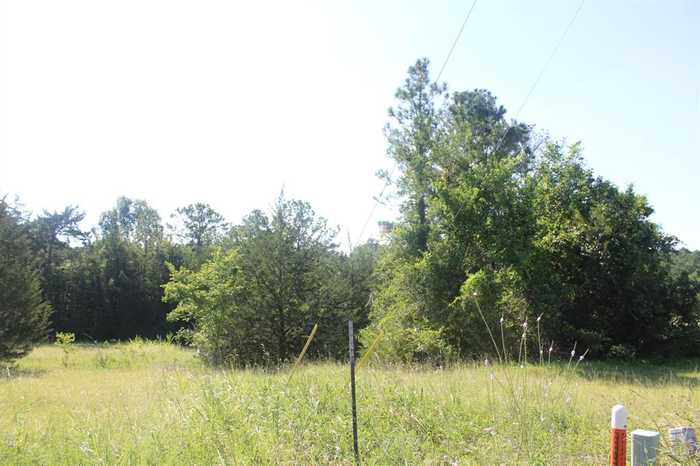 photo 2: Ridgeview Drive, Coldspring TX 77331