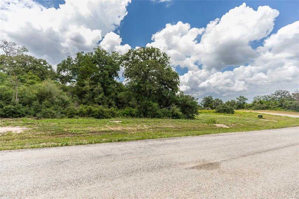 photo 3: 413 S Garrett Circle, Bellville TX 77418