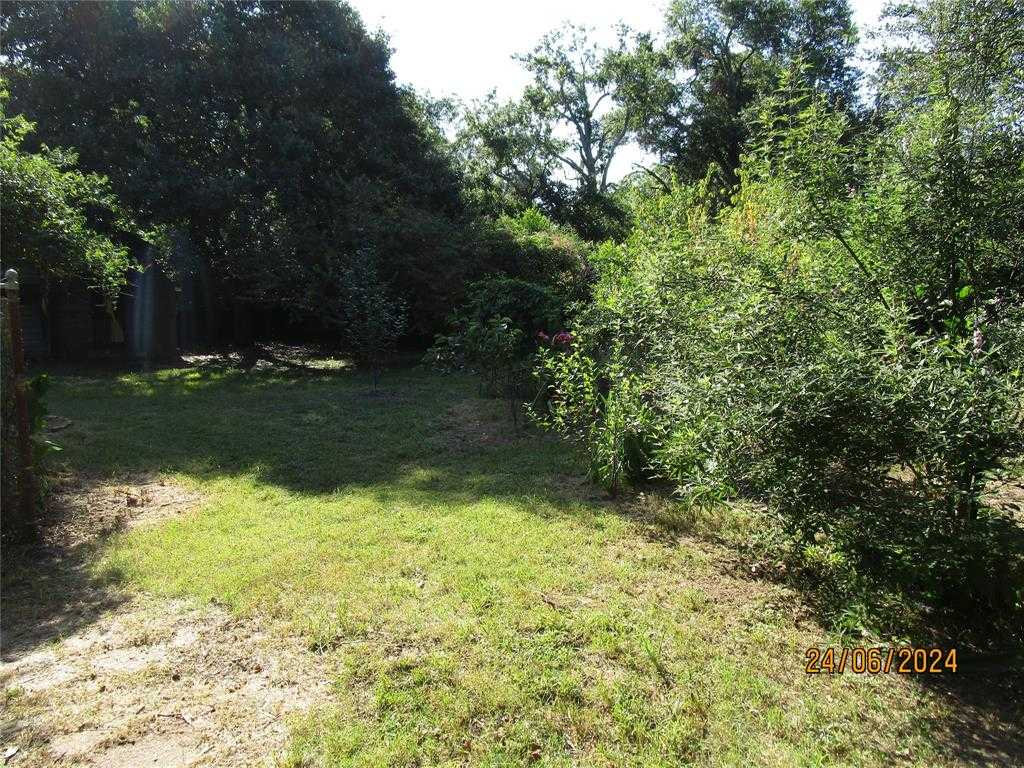 photo 2: 605 Myrtle Street, Grapeland TX 75844