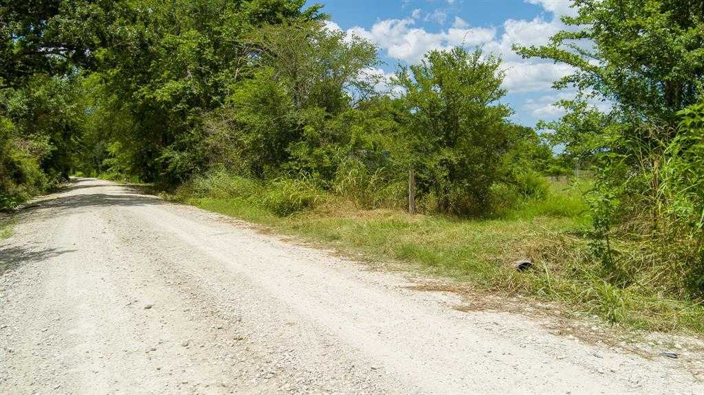 photo 3: 4534 County Road 227, Bedias TX 77831