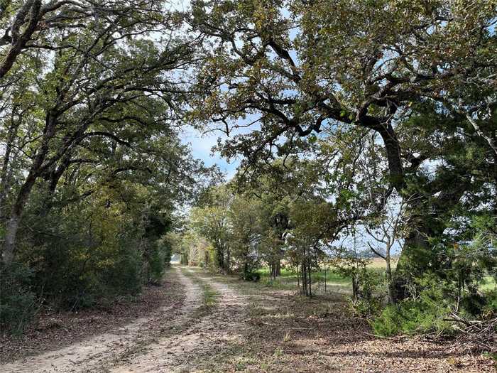 photo 1: 4311 County Road 127, Ledbetter TX 78946