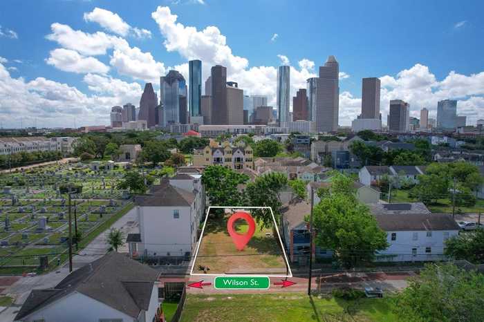 photo 8: 1107 Wilson Street, Houston TX 77019