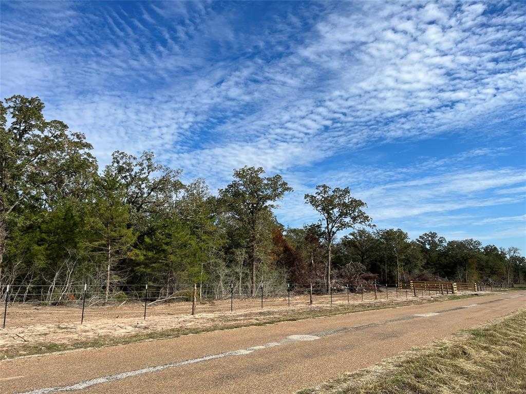 photo 3: 4369 County Road 127, Ledbetter TX 78946