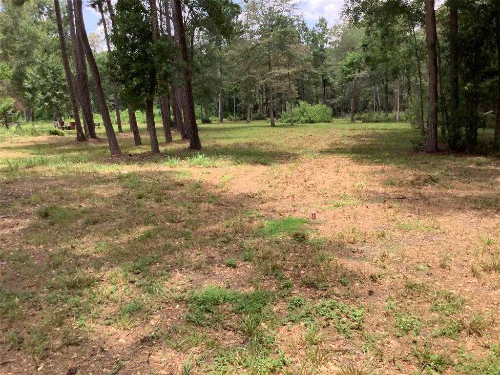 photo 3: 3893 TBD COUNTY ROAD 3893 Rock Creek, Cleveland TX 77328