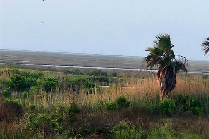 photo 35: 499 Beachfront Drive, Matagorda TX 77457