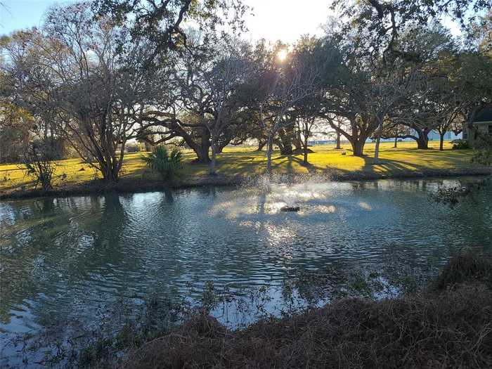 photo 8: Cattle Drive, Bay City TX 77414