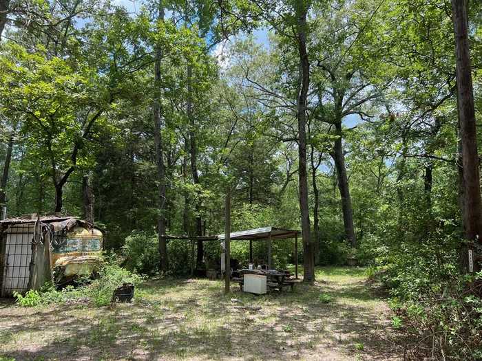 photo 2: 20 CR 293, Oakwood TX 75855