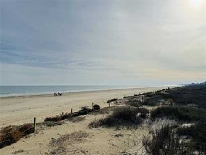 photo 3: 1 Nesmith Place, Surfside Beach TX 77541