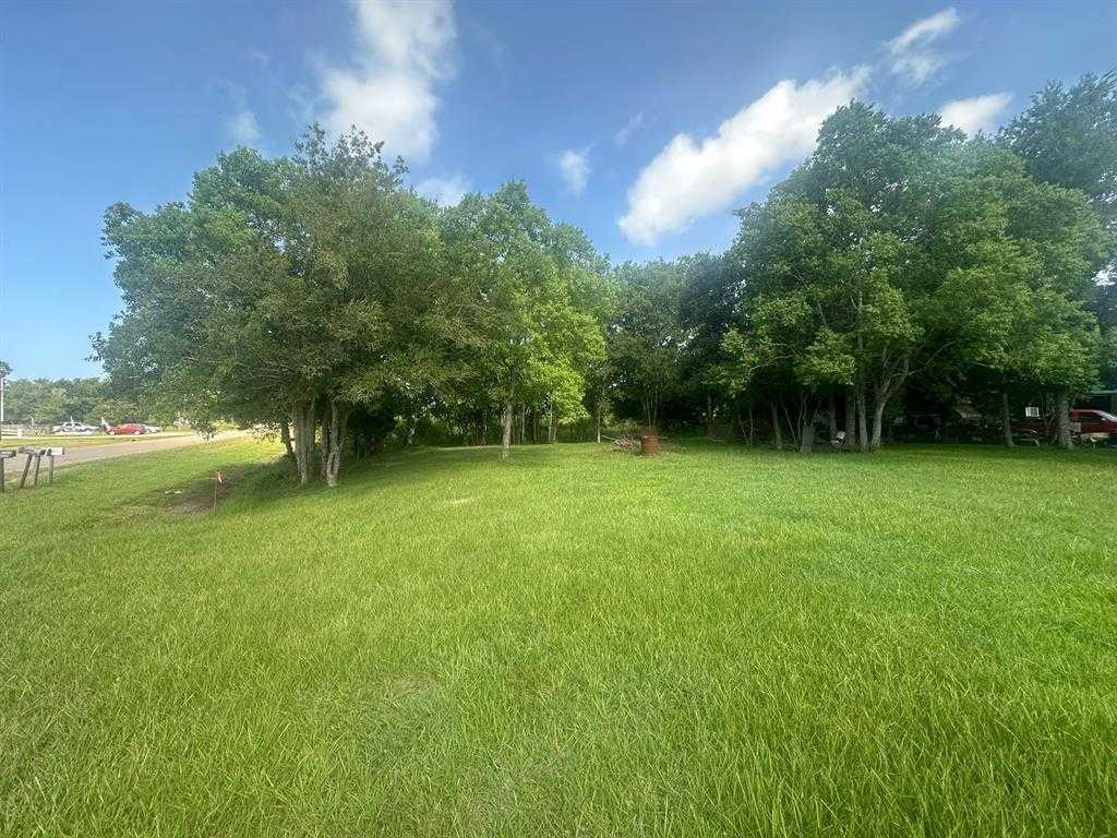 photo 3: 705 Eagle Road, Anahuac TX 77514