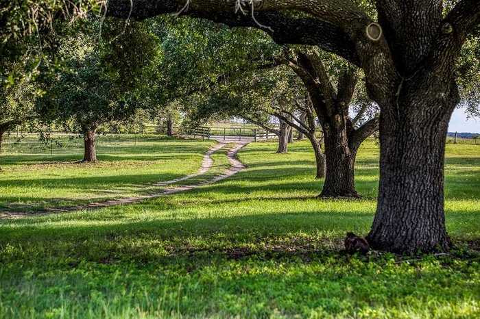 photo 31: 9909 Latium Cemetery Road, Burton TX 77835