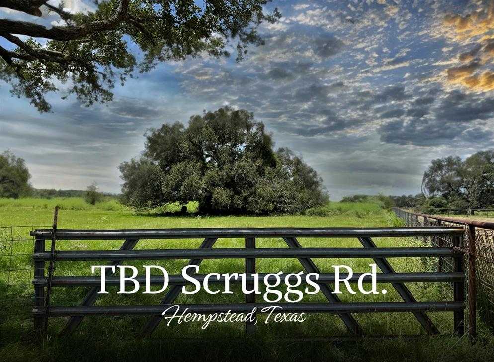 photo 1: Scruggs Road, Hempstead TX 77445