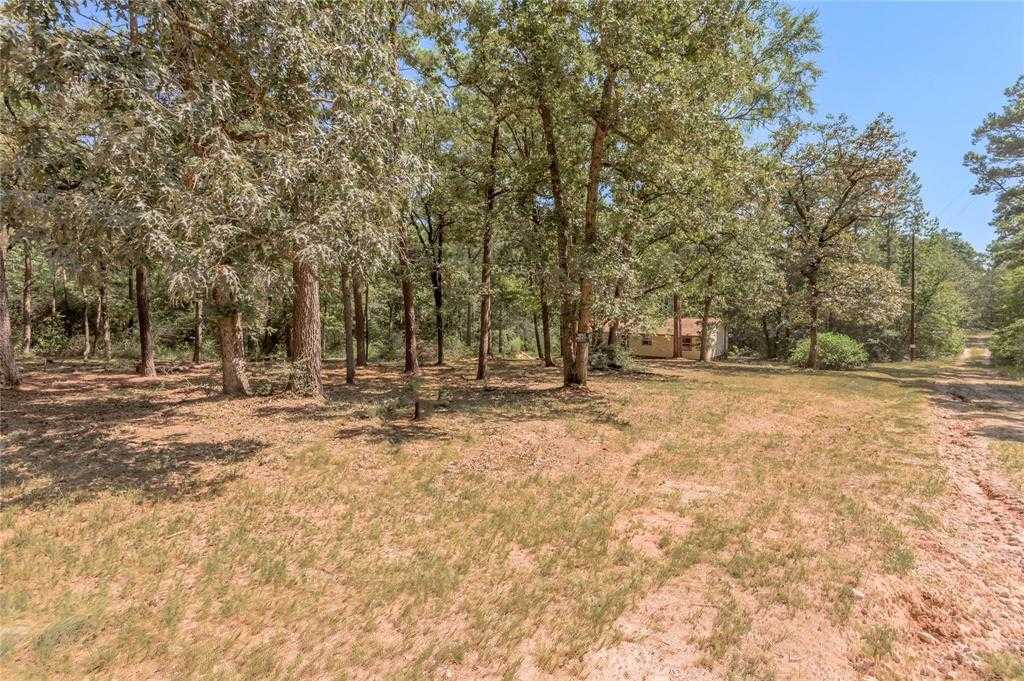 photo 2: 127 Cripple Creek, Trinity TX 75862