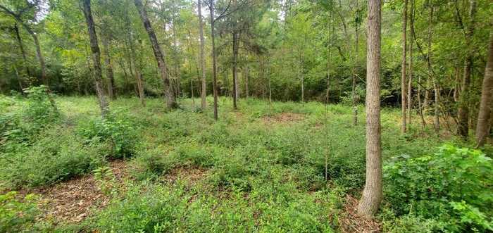 photo 1: 10 Granite Road, Huntsville TX 77340