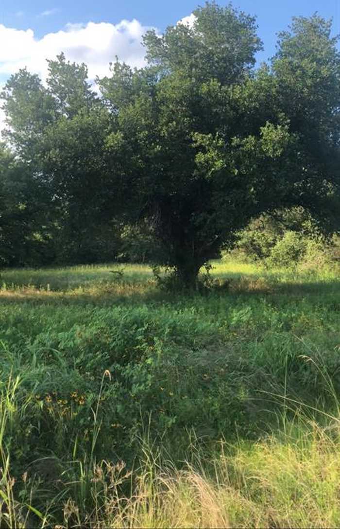 photo 2: Goose Prairie Road, Midway TX 75852