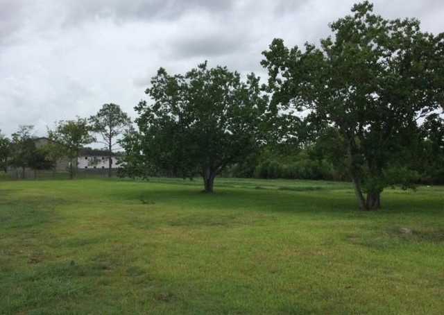 photo 3: 118 Leisure Lane, Alvin TX 77511