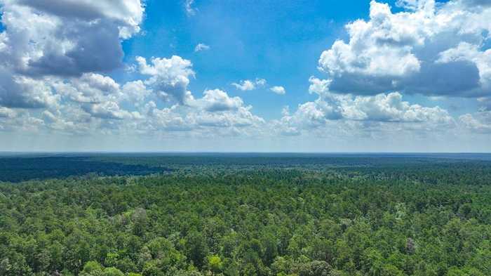 photo 1: Forest Service Road 543, Ratcliff TX 75858