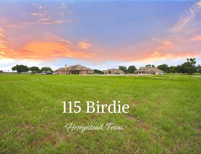 photo 1: 115 Birdie Drive, Hempstead TX 77445