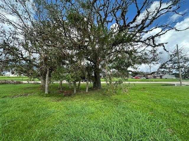 photo 2: 643 Lone Star Trail, Angleton TX 77515