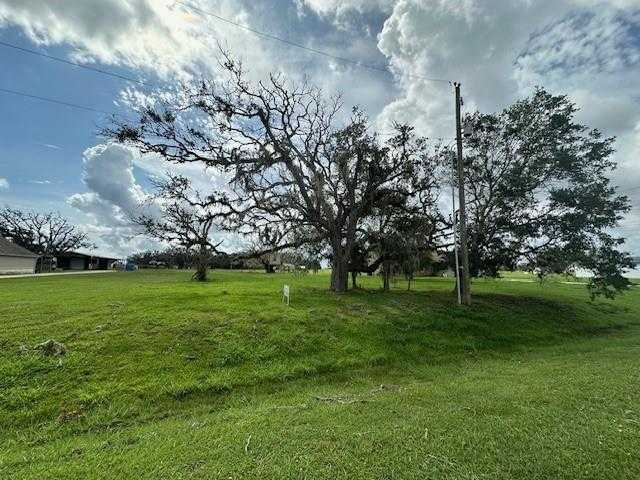 photo 3: 643 Lone Star Trail, Angleton TX 77515