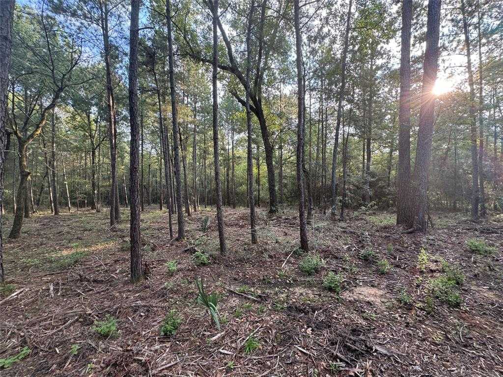 photo 2: 117 Hereford Trail, Huntsville TX 77340